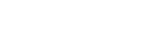 Brave Chemicals logo white-01
